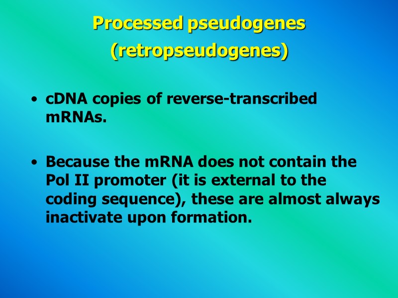 Processed pseudogenes  (retropseudogenes)  cDNA copies of reverse-transcribed mRNAs.   Because the